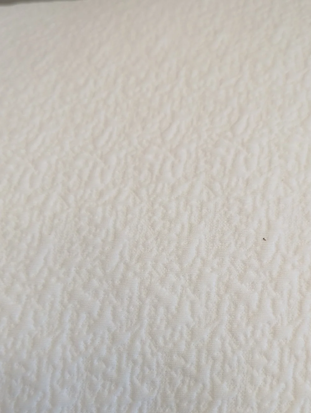 Never Used Linea 1.0 White Pillow with Blue Trim Bedgear